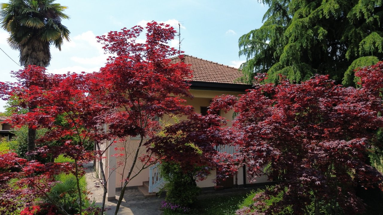 For sale villa in quiet zone Bernareggio Lombardia foto 15